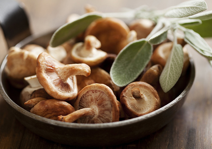 IQF Shiitake-Pilz-Verarbeitungstechnologie